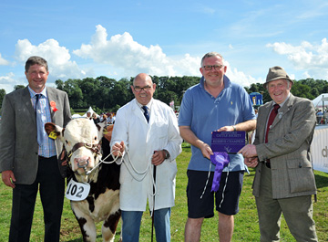 National Horned Hereford Show 2013