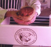 Pure Hereford beef for sale